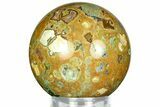 Polished Rainforest Jasper (Rhyolite) Sphere - Australia #311605-1